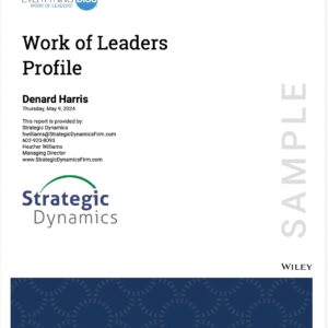 DiSC Work of Leaders Profile