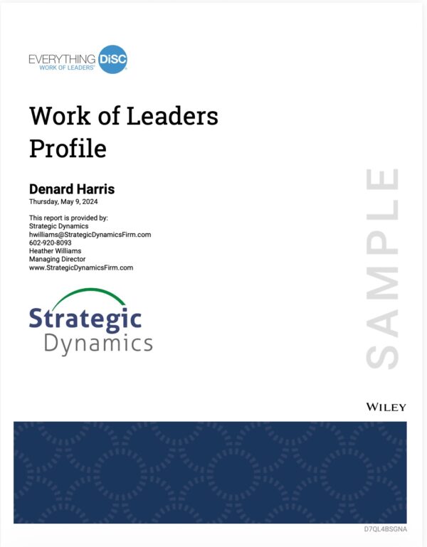 DiSC Work of Leaders Profile