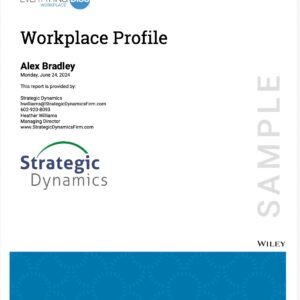 Everything disc workplace profile