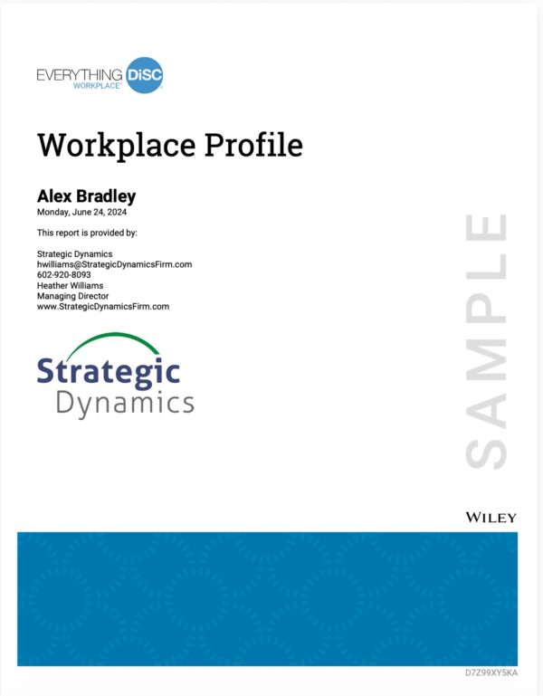 Everything disc workplace profile